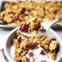 A spoonful of gingerbread granola over a bowl of granola over yogurt.
