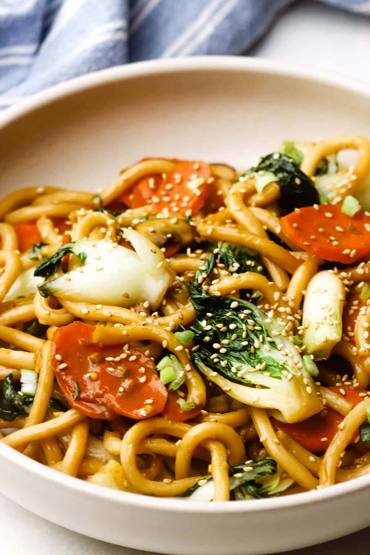 A bowl of udon stir fry.