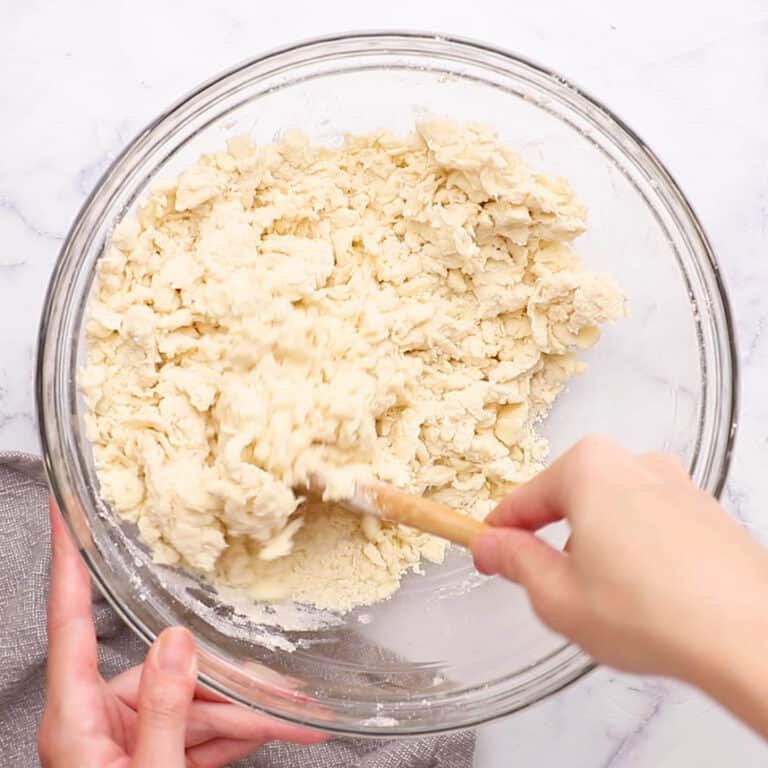 Easy Pie Crust Recipe By Hand
