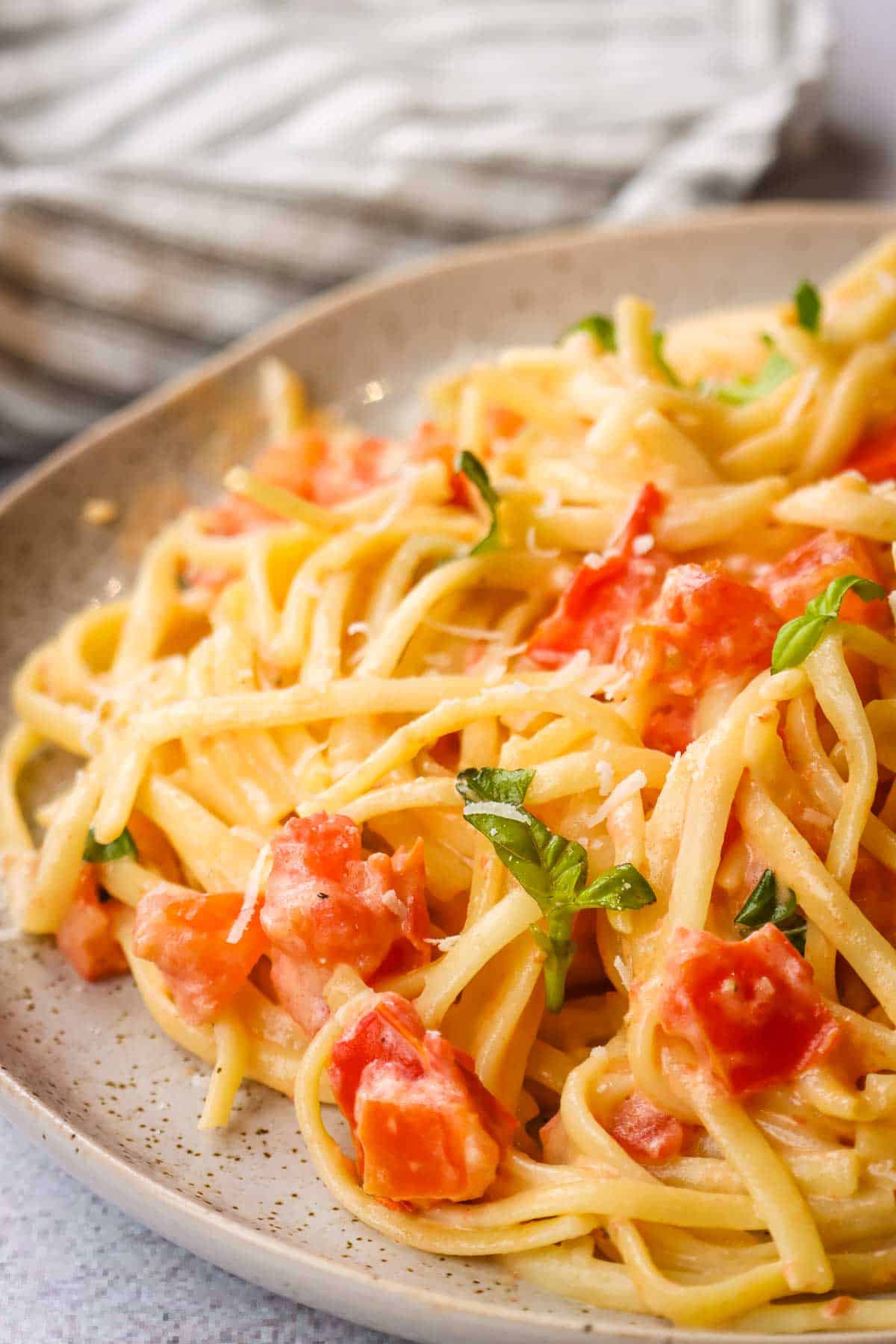 Side view of a plate of Alfredo tomato pasta.