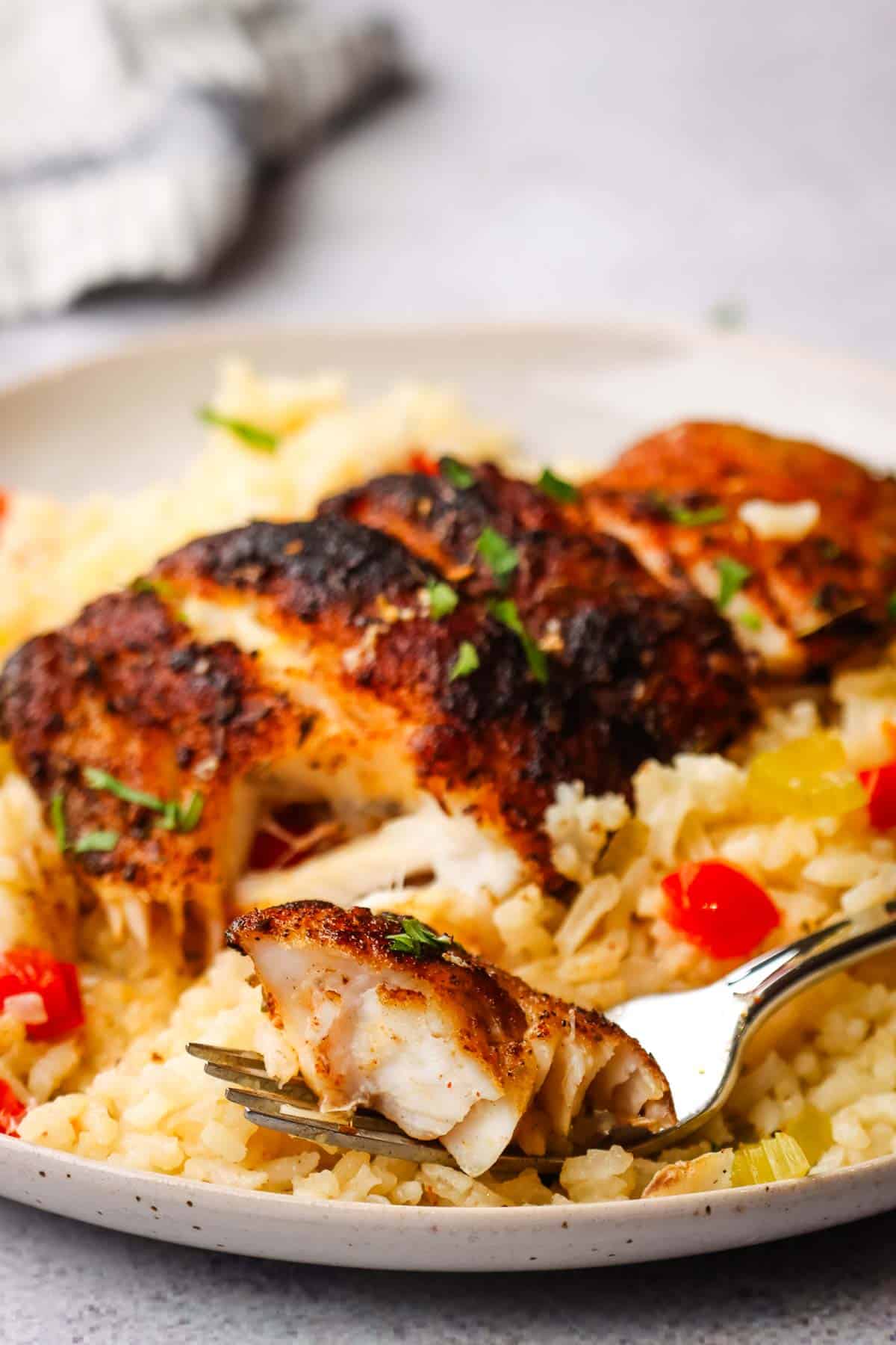 A plate of blackened fish over rice with a forkful taken out and in the forefront.