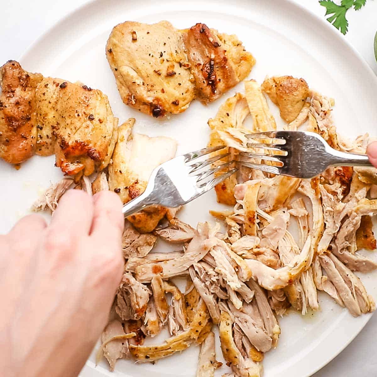 shredding the chicken with two forks