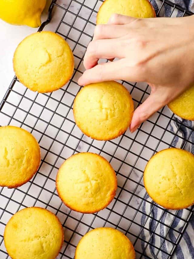 The Best Lemon Muffins