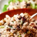 picking a spoonful of walnut cranberry chicken salad from a bowl