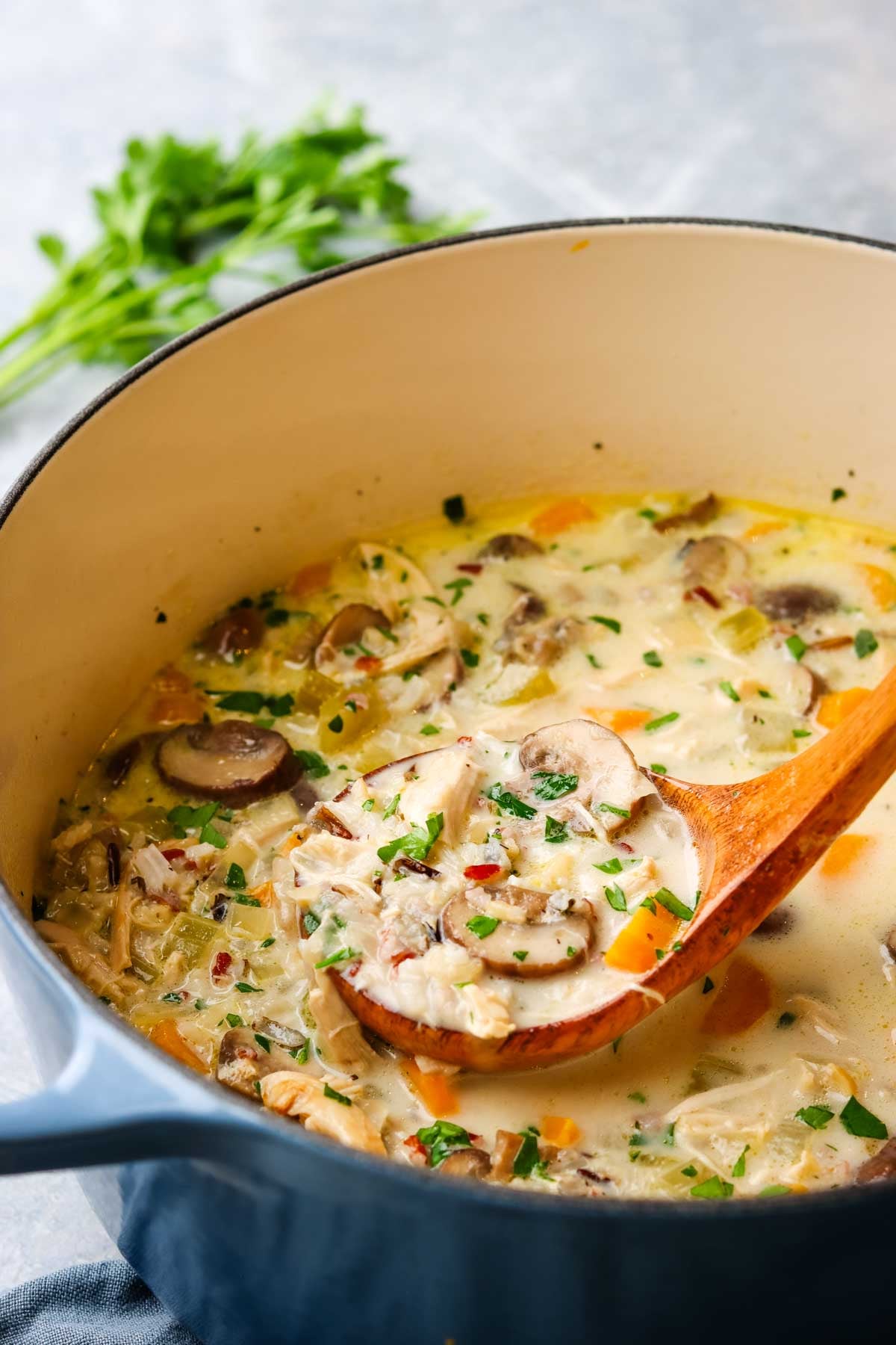 a pot of turkey and wild rice soup with a laddle in it