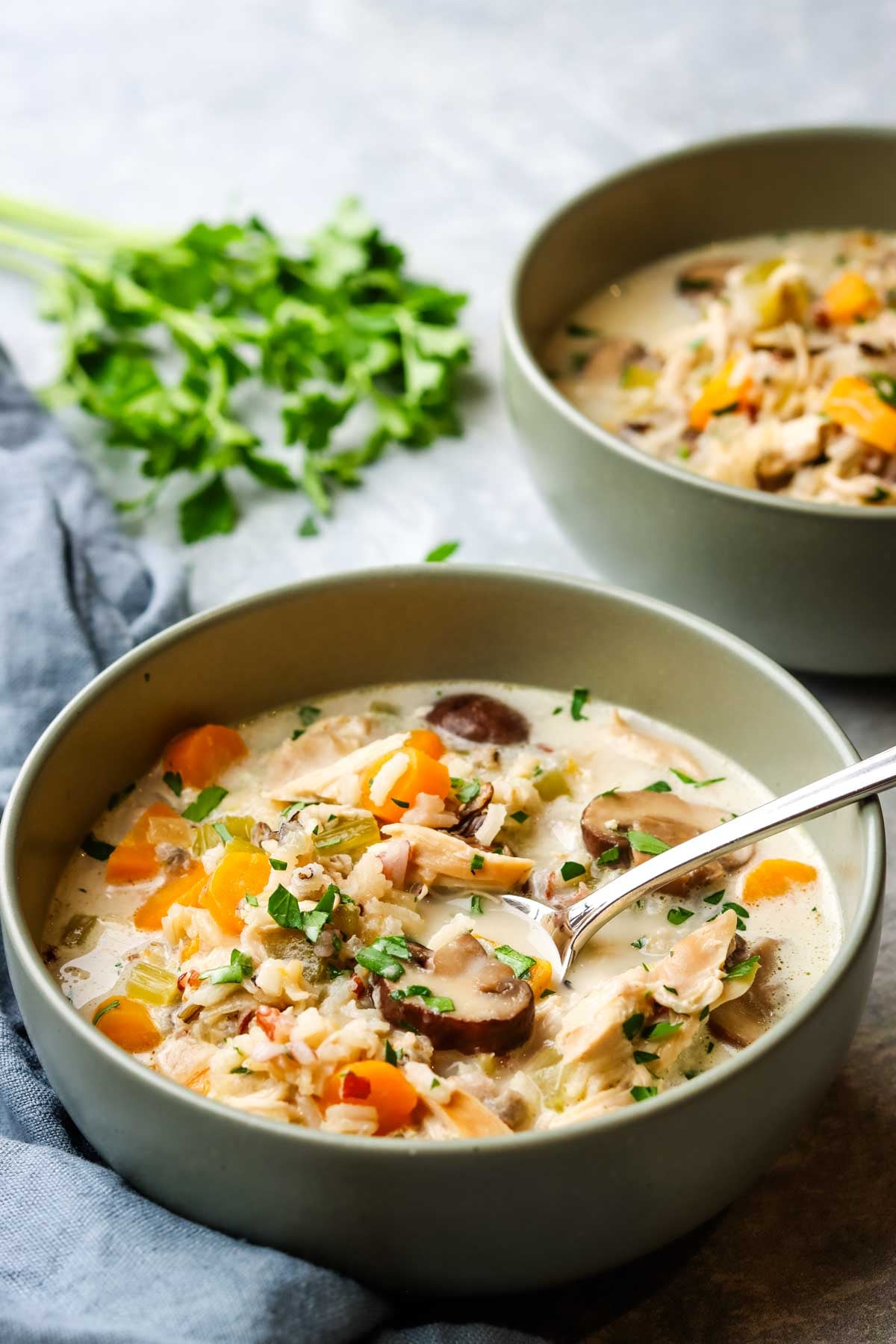 a bowl of turkey and wild rice soup with a spoon in it