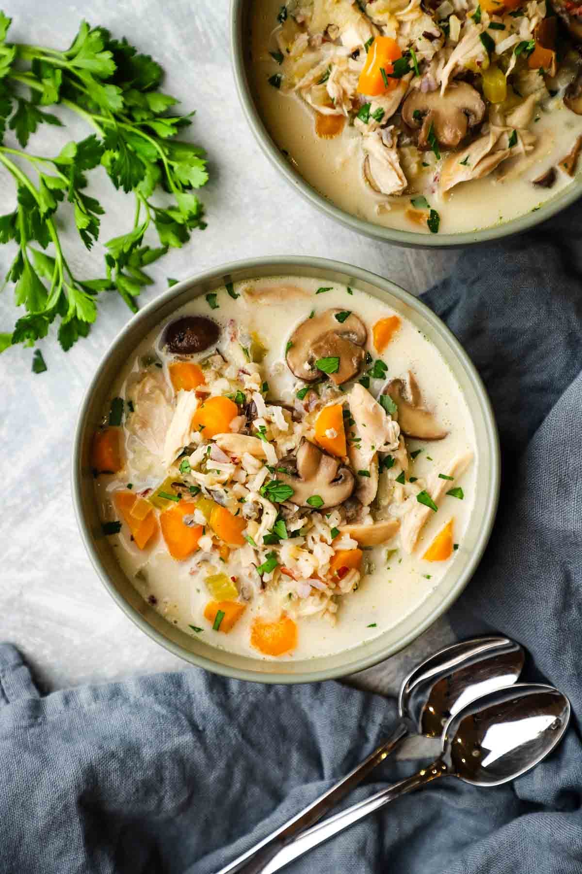 overhead view of a bowl of turkey and wild rice soup