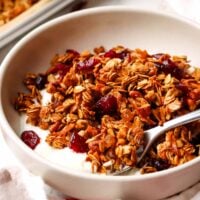 gingerbread granola in a bowl of yogurt