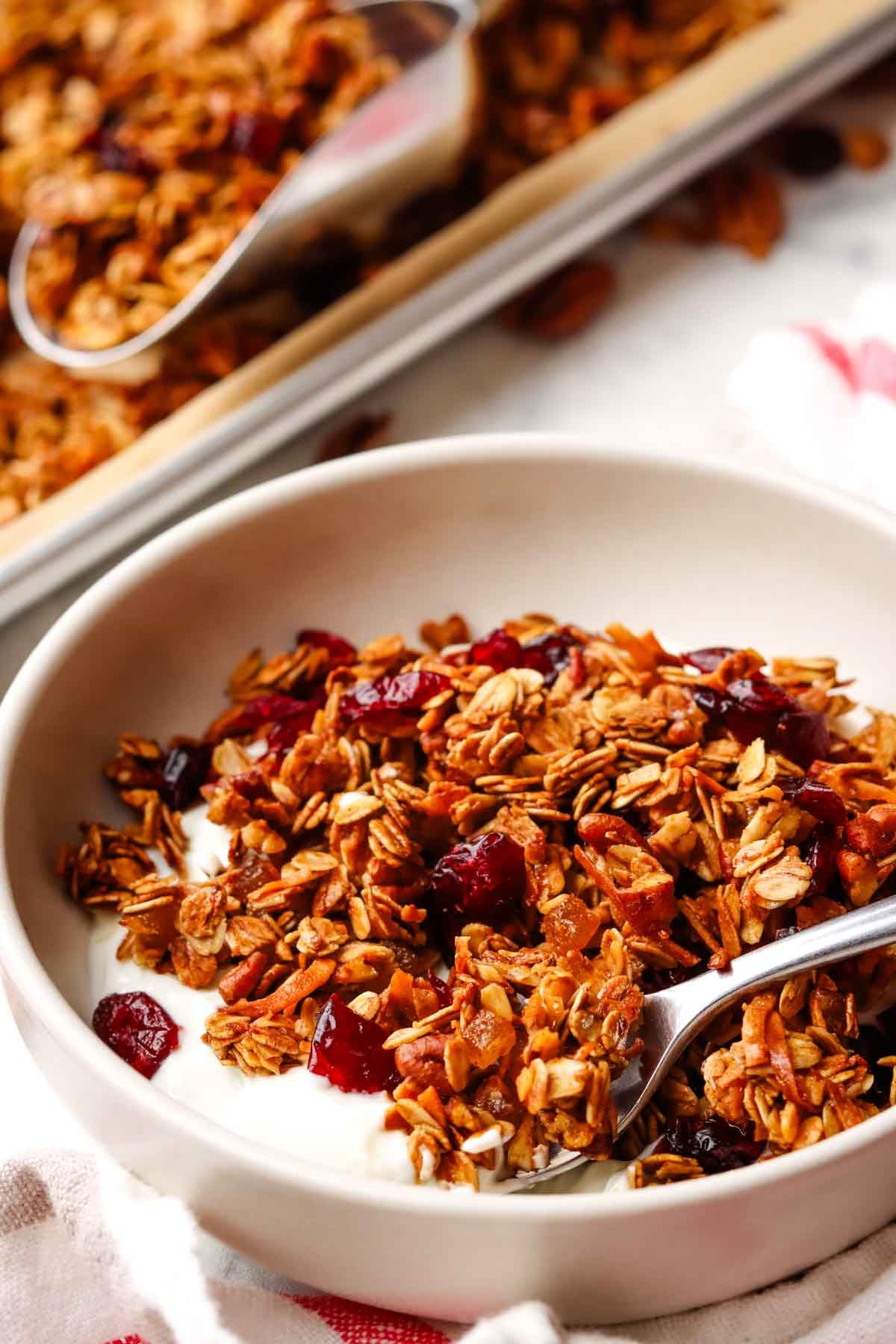 gingerbread granola in a bowl of yogurt
