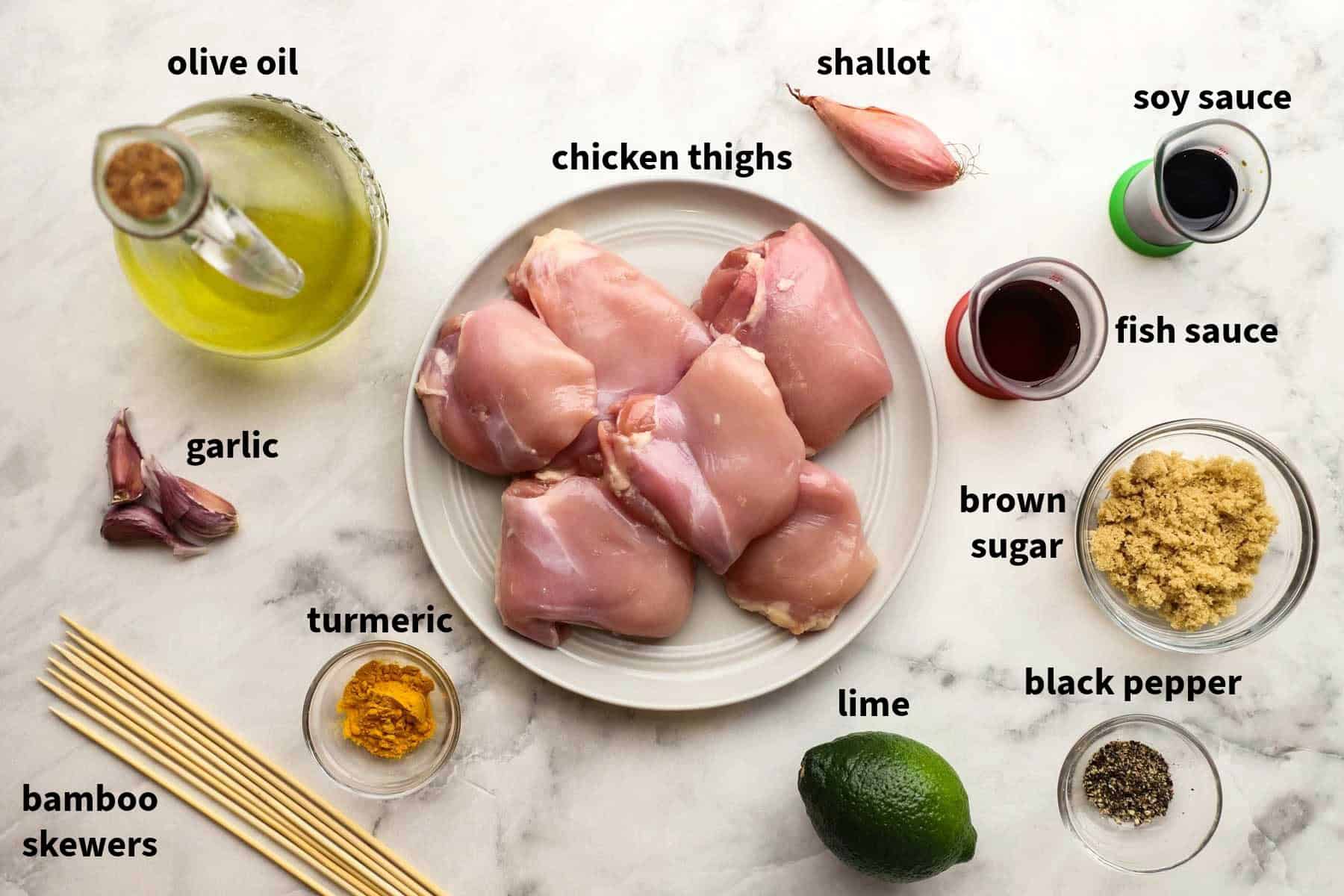Top-down view of chicken skewer ingredients that include chicken thighs, lime, brown sugar, turmeric, olive oil, shallot, and more. 